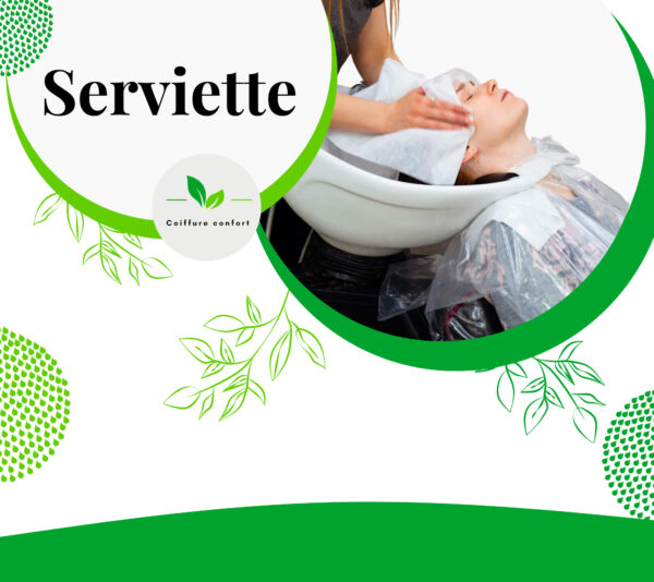 Serviette - Carton de 1080 pièces